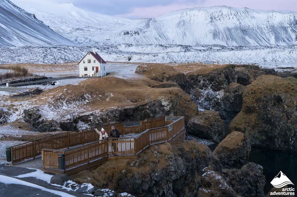 Arnarstapi Fishing Village in Iceland