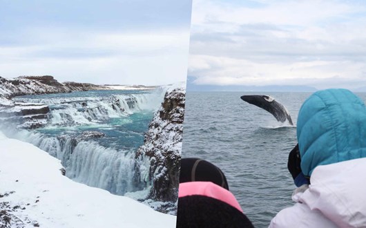  Golden Circle & Whale Watching Tour