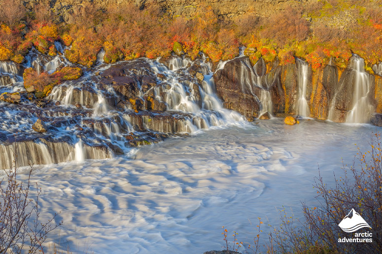 Hraunfossar Waterfall Flows Into River in Iceland