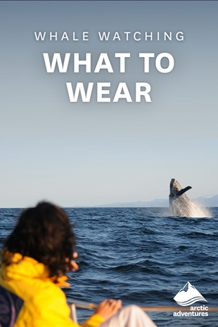 What to Wear for Whale Watching in Iceland