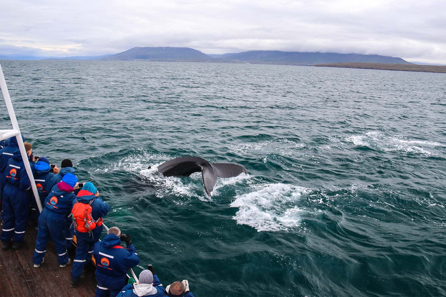 Whale Watching Clothes