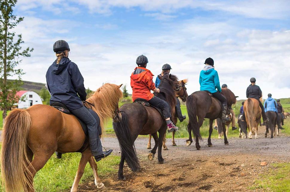 best iceland horse riding tour