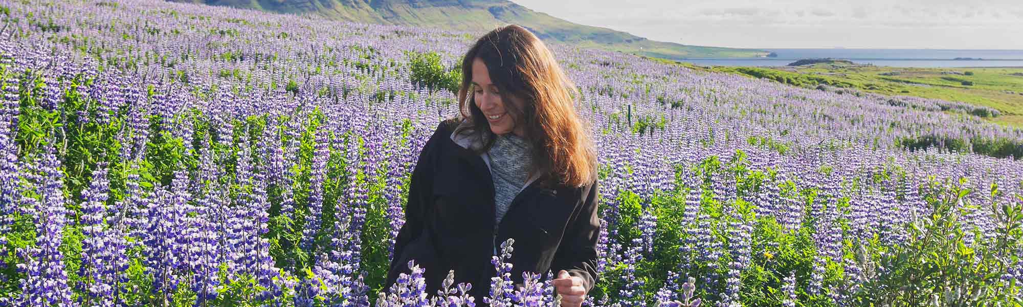 Iceland Summer Solstice Celebrations Arctic Adventures