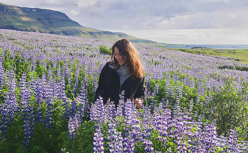 Iceland Summer Solstice Celebrations