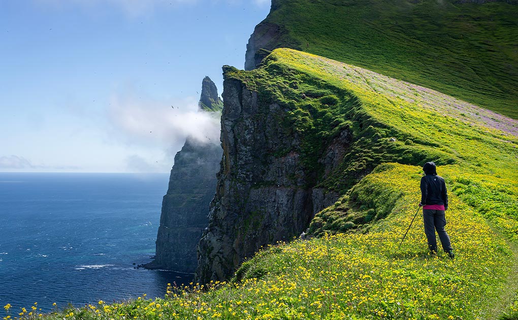 6-day Hornstrandir Hike