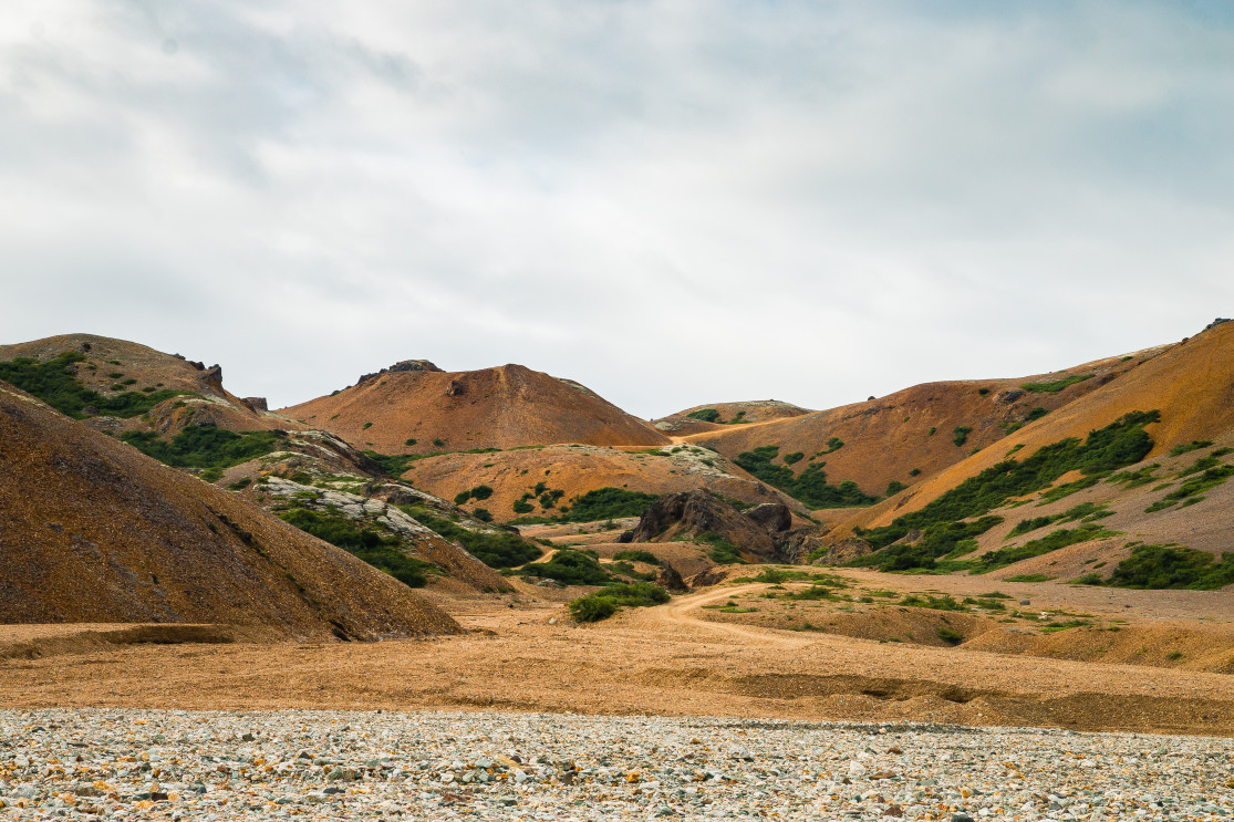 Gold colored hills with patches of green under a cloudy sky