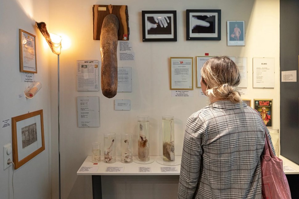 Visitor examining specimens at phallological museum exhibit.