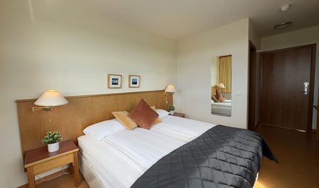 Double or Twin room