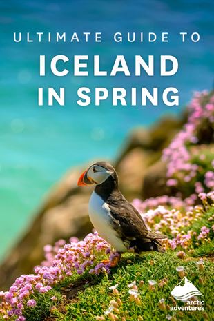 Icelandi Spring Ultimate Guide to Iceland in Spring | Arctic Adventures