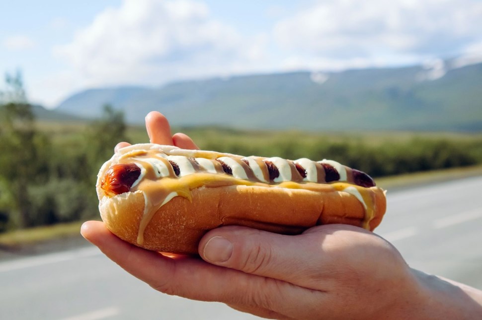 Person holding an Icelandic hotdog