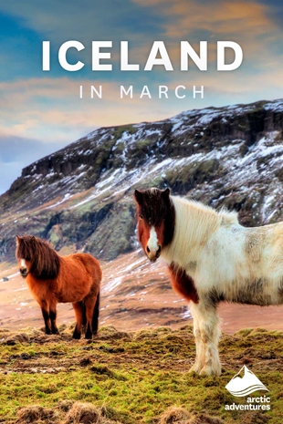march trip to iceland