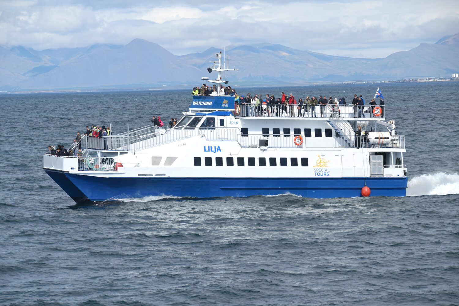Whale watching tour by boat in Iceland