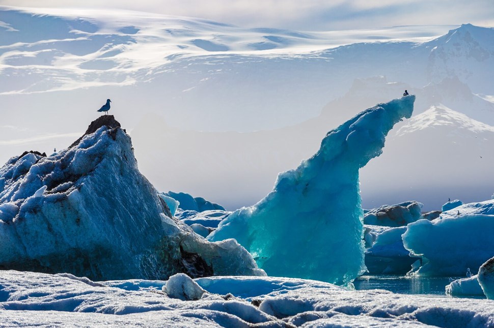 Huge icebergs in Jokulsarlon Glacier Lagoon