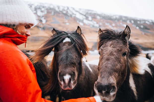 Woman with red jacket petting horses