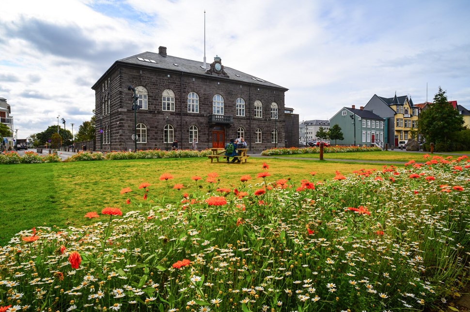 Flower field in front of Austurvollur square