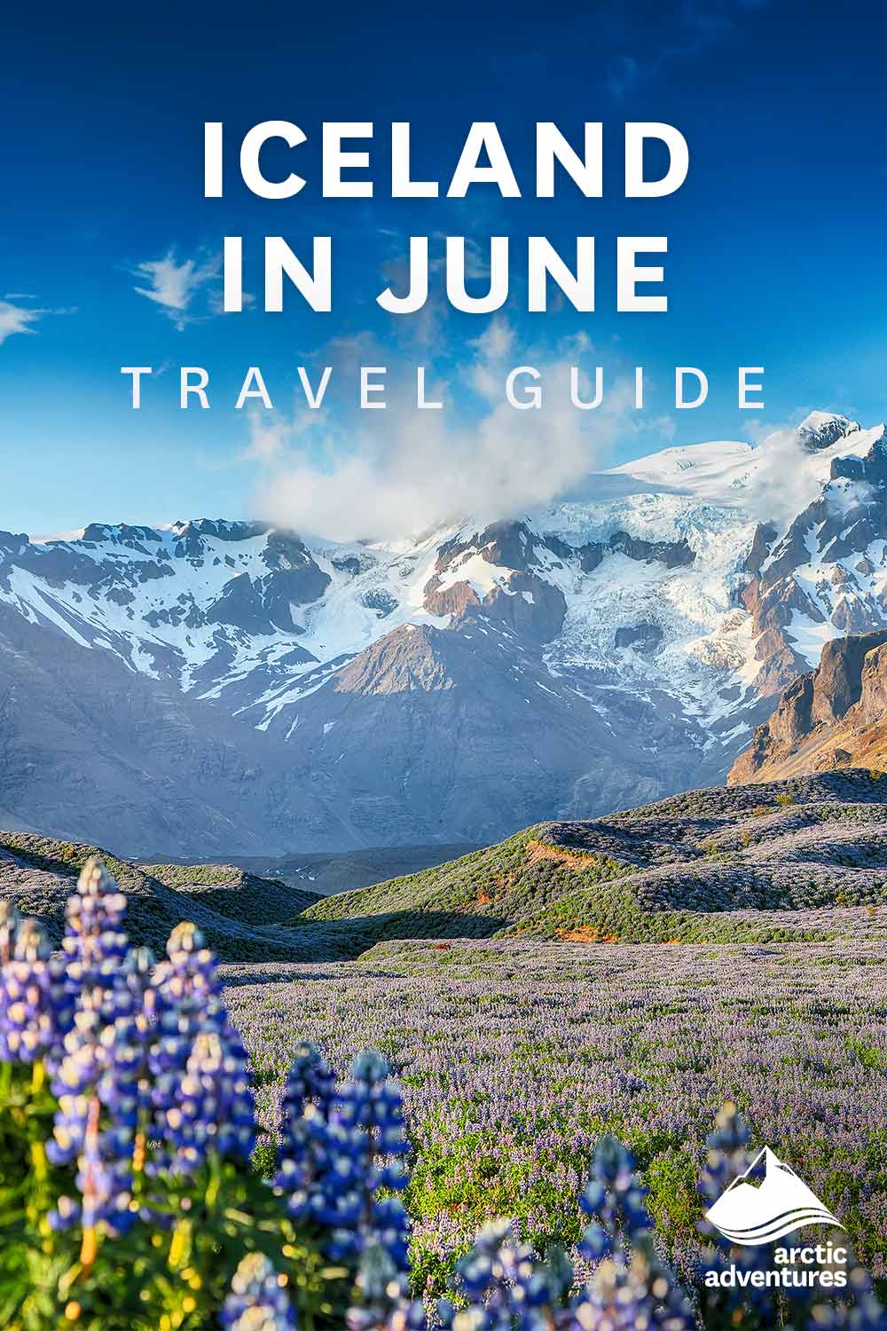 Icelandic summer landscape with flowers and snowy mountains