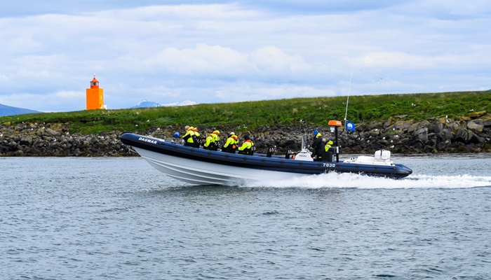 boat tour reykjavik