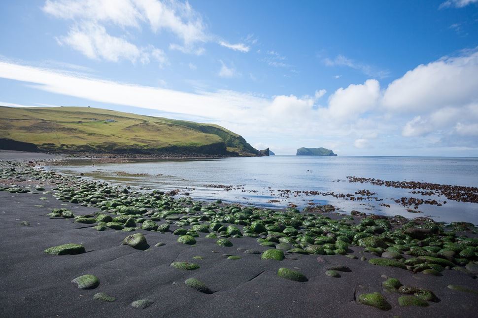Surtsey Island Surtsey Island ash coloured beach, Iceland