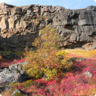 Thingvellir National Park