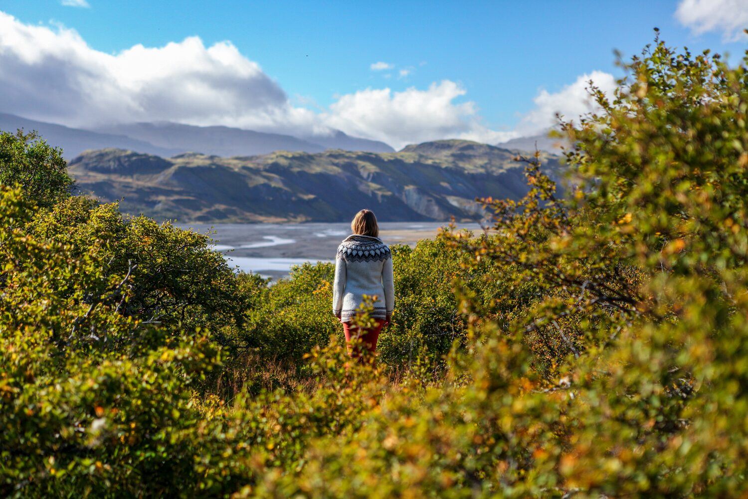 Woman in sweater, standing admiring mountain view in Iceland, surrounded by green bushes.