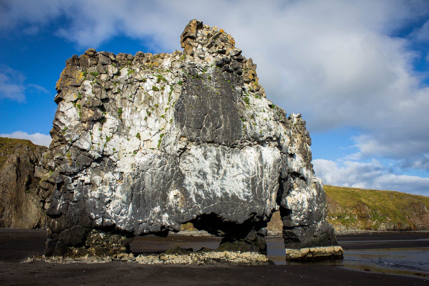 Basalt rock Hvitserkur in the form of a huge elephant by sea shore in low tide .