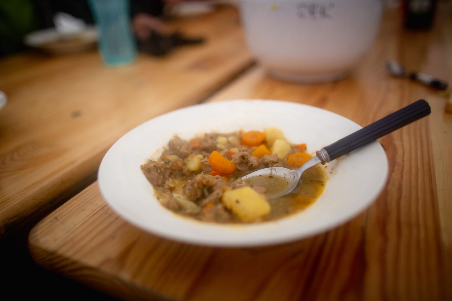 Hearty Stew Laugavegur