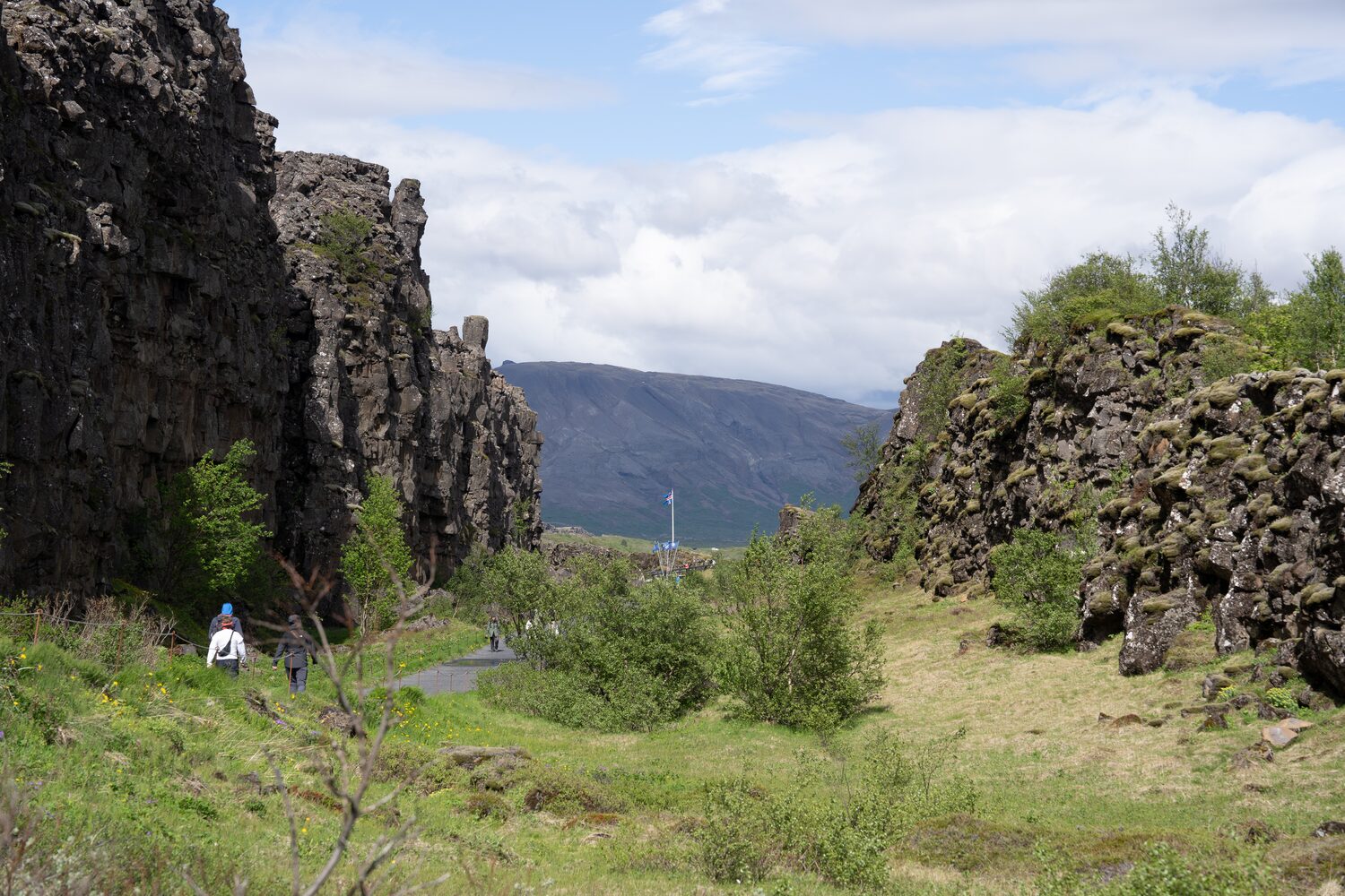 Pathway between tectonic plates in Iceland