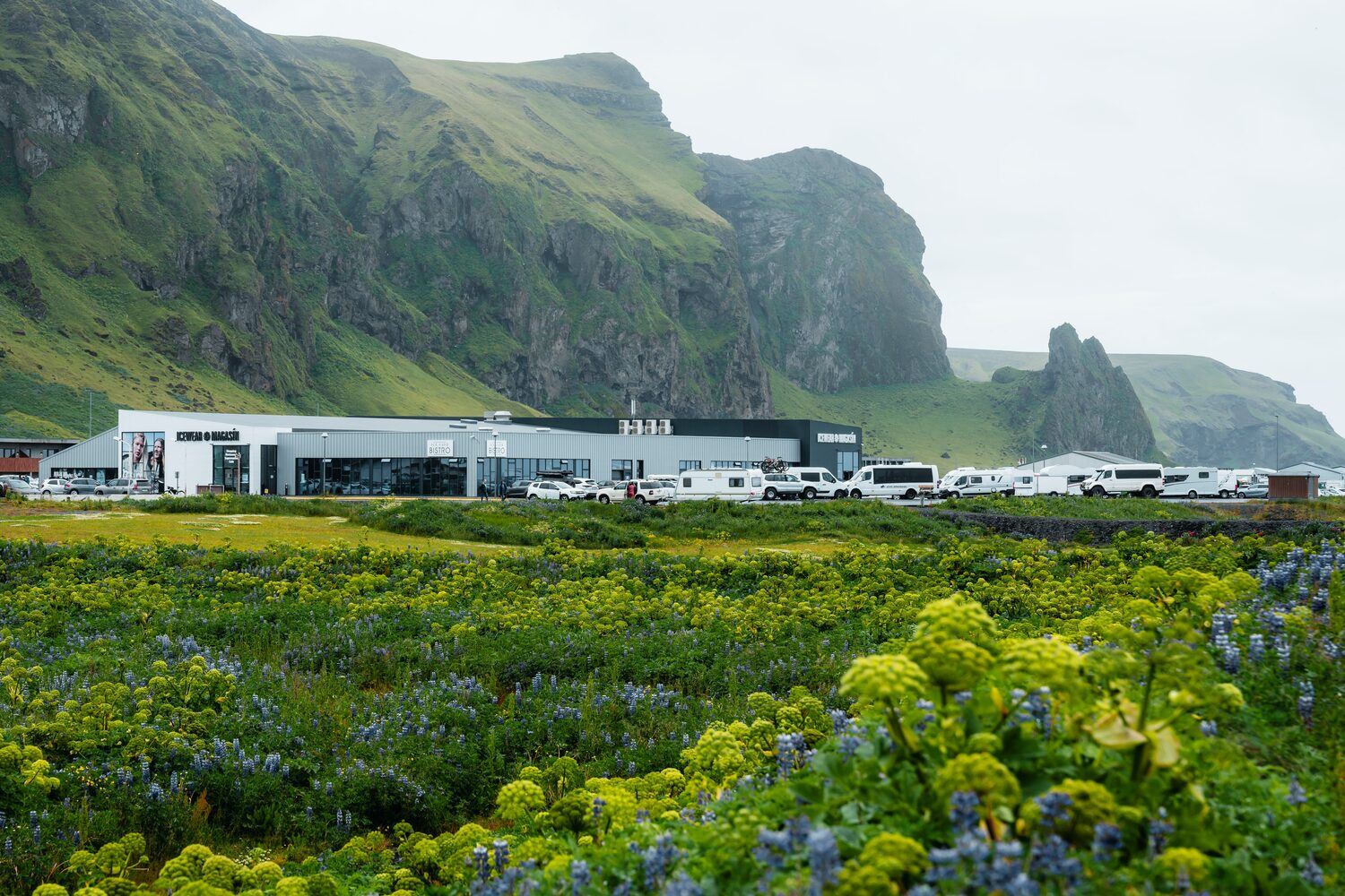 Vik Katla Meet on Location Meeting Point building and car park surrounded by blossoming spring field and green mountains