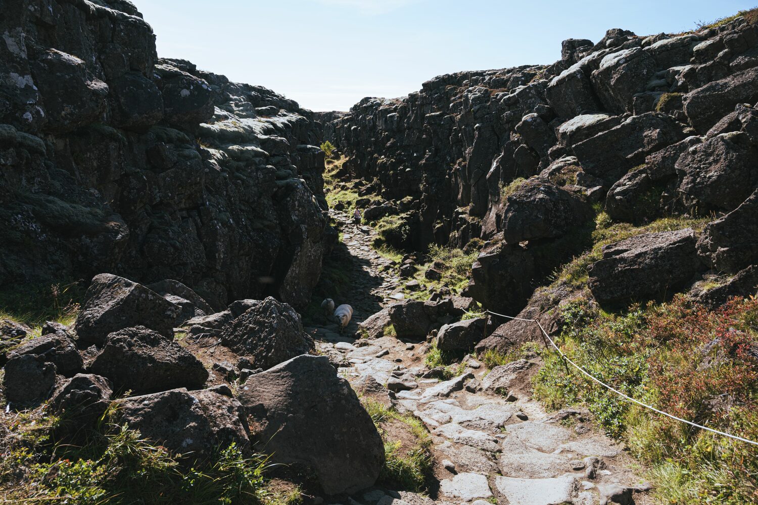 Golden Circle Thingvellir 