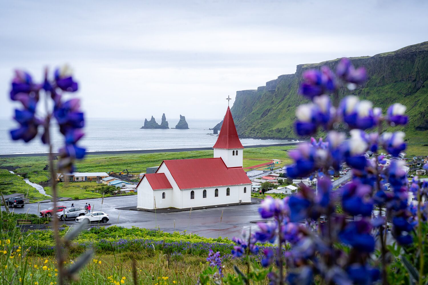 Vik Church Purple Flower