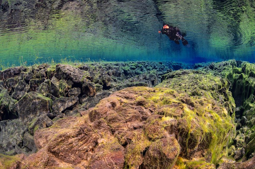 Person snorkeling above mossy tectonic plates