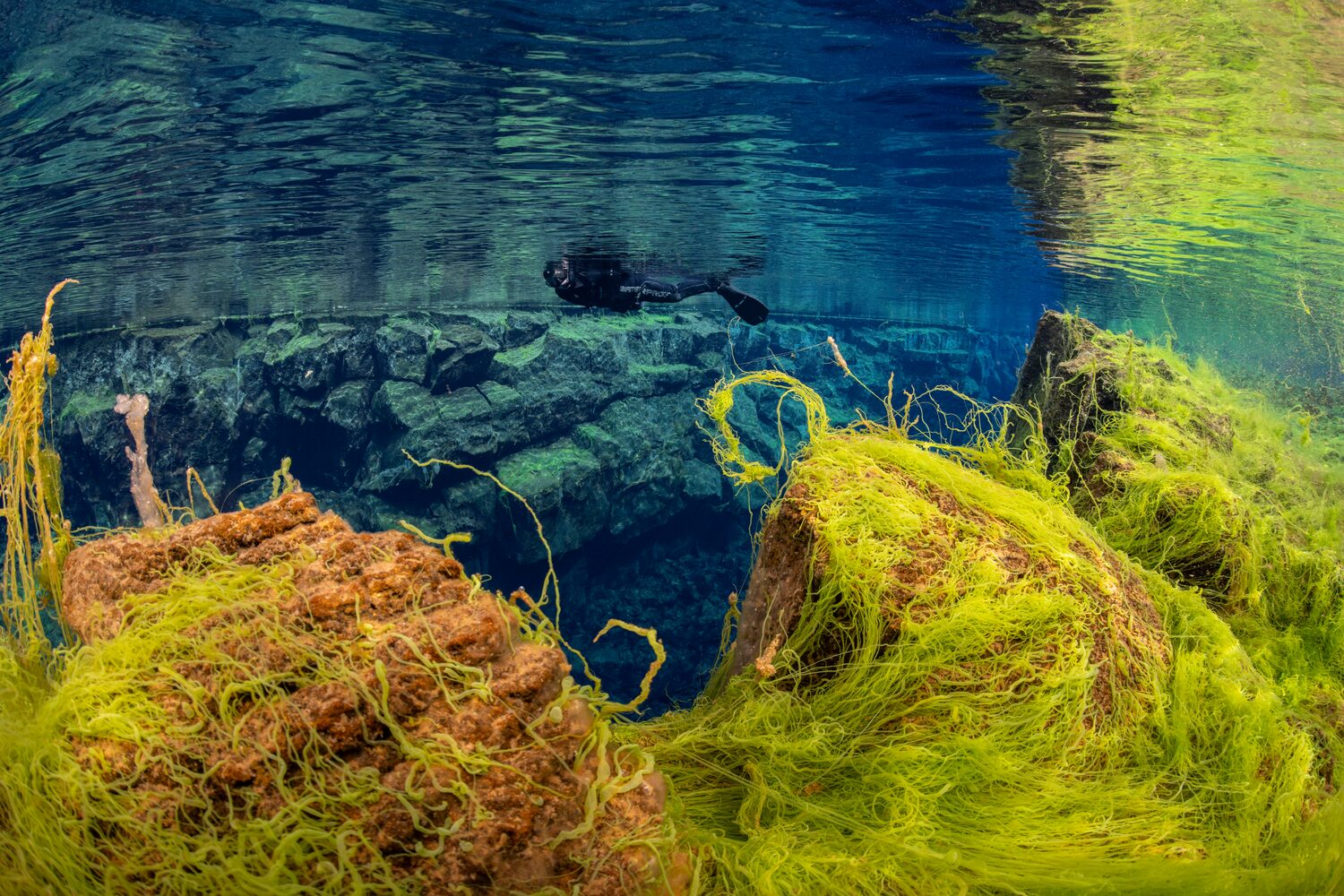 Person snorkeling between tectonic plates in Silfra