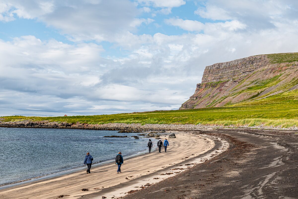 Group of people walking by seashore in Iceland