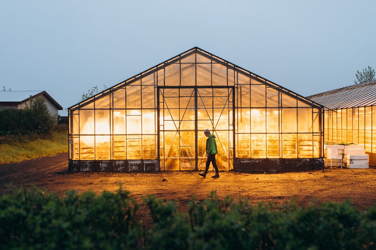 Lighten up greenhouse in Iceland