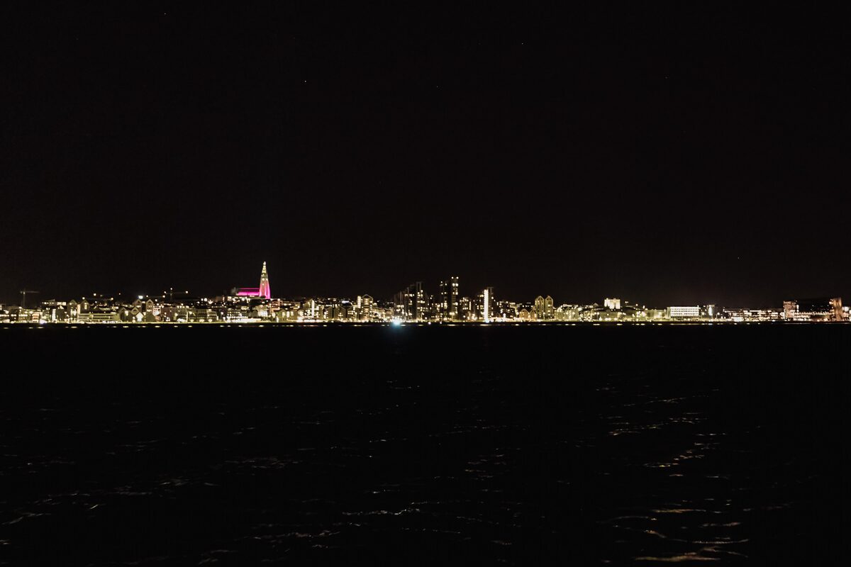 Reykjavik City Night 