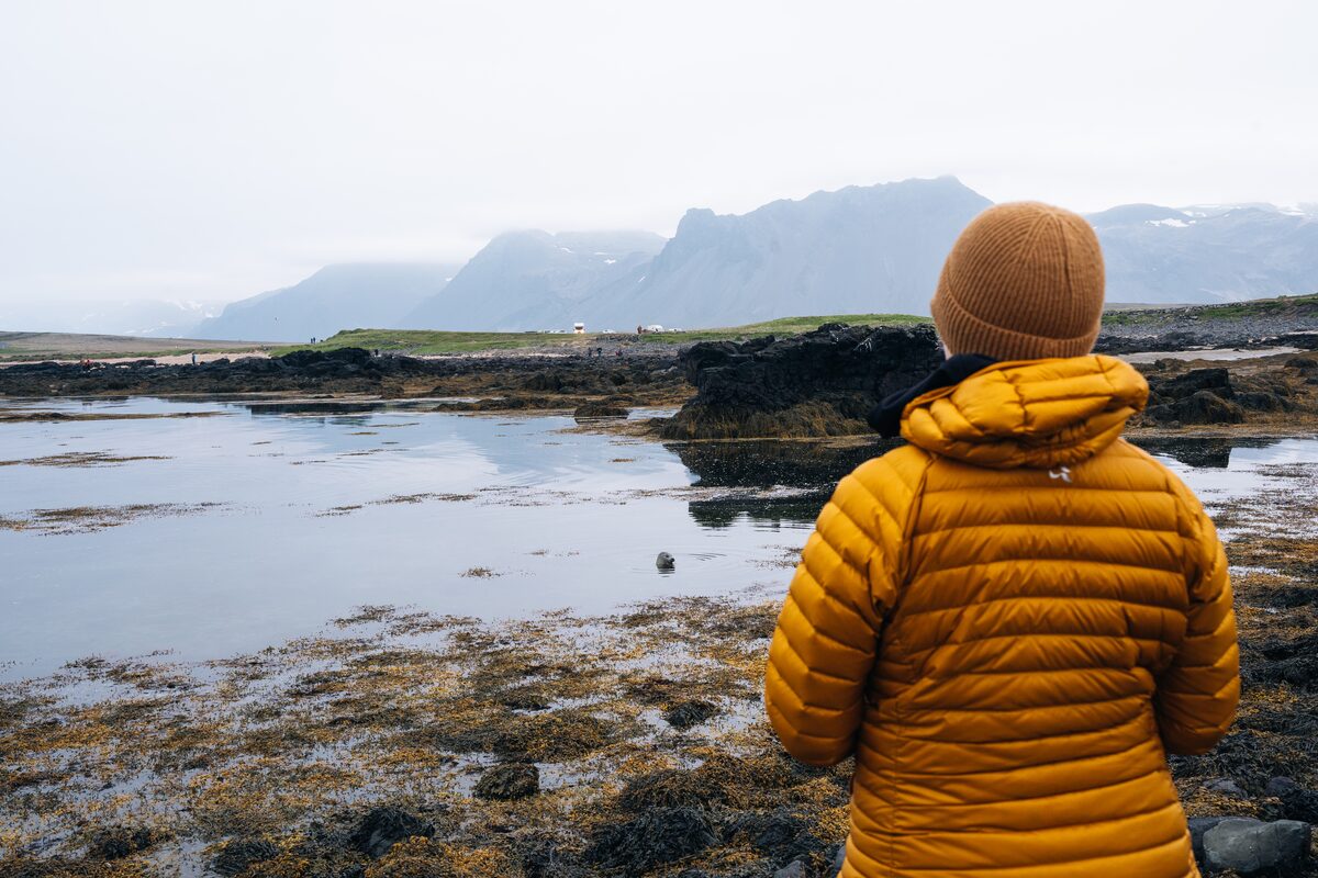 Woman watching seals in Icelandic beach