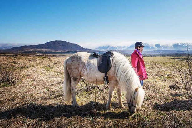 woman and Icelandic white horse