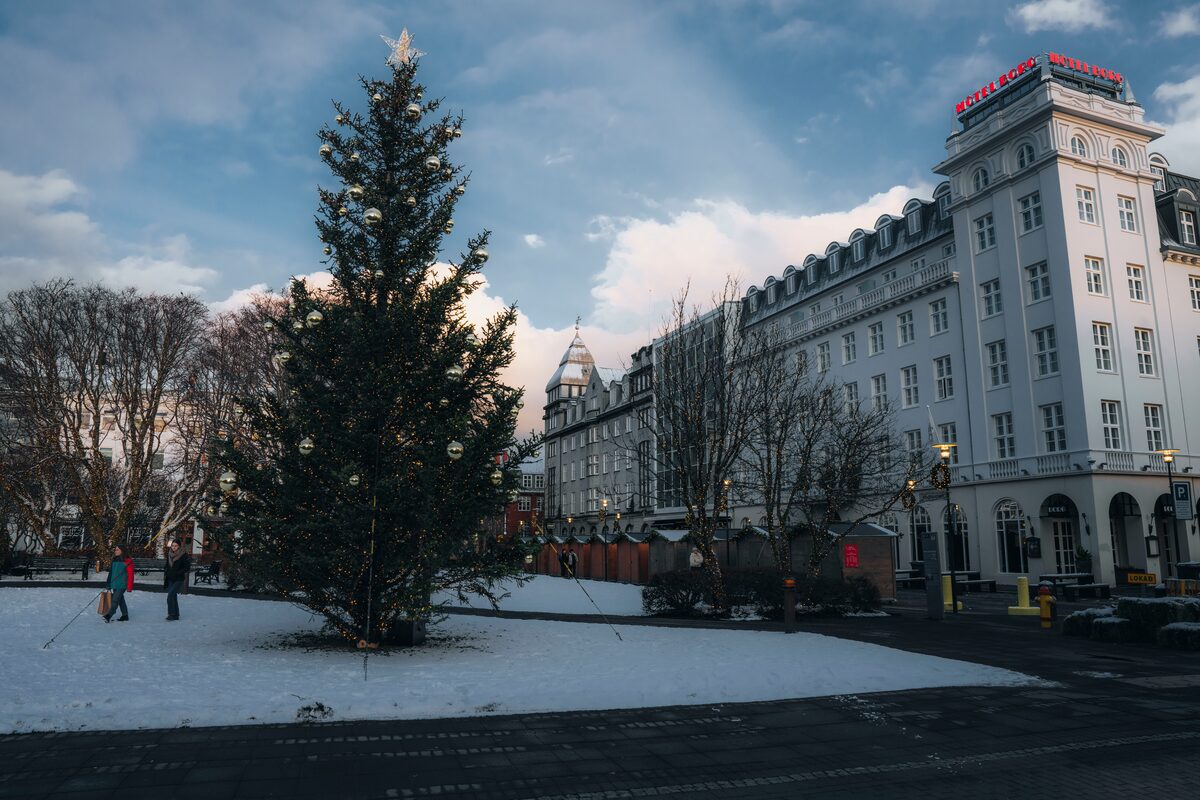 Decorated Christmas tree in Reykjavik city center