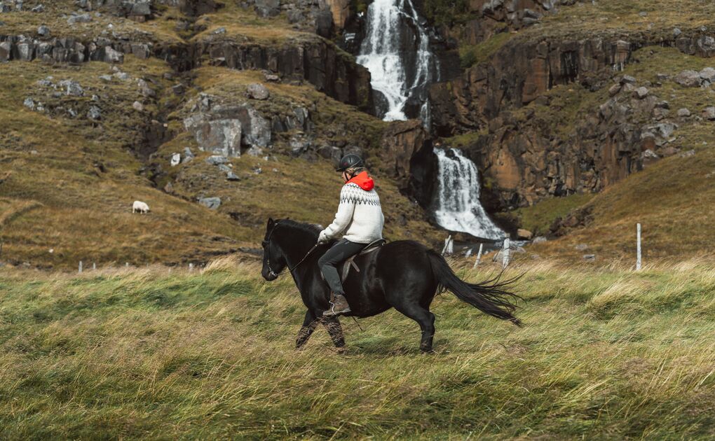 Midnight Wilderness Horseback Ride