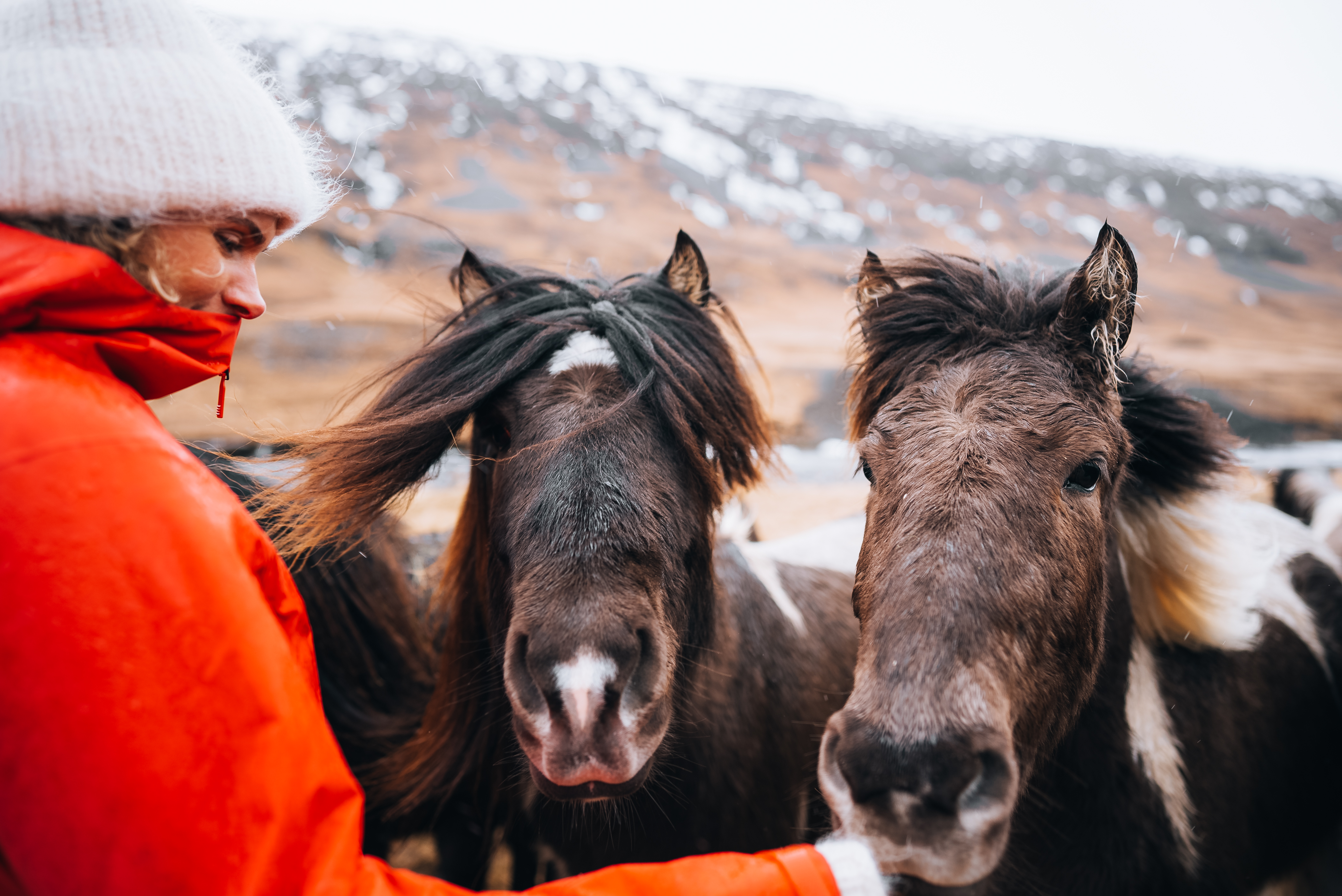 Close up view of female in red coat and white fluffy hat greeting horses
