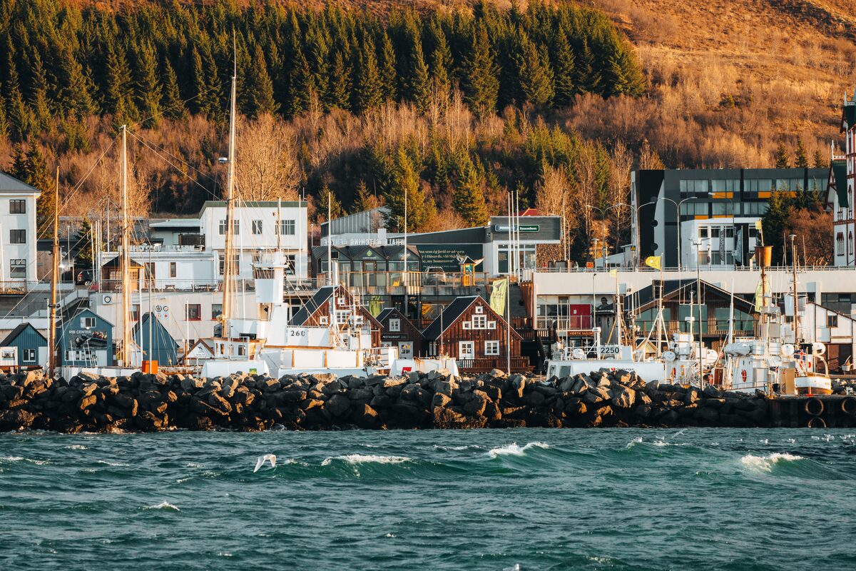 Unique architectural buildings lining cobbled shore, overlooking sea in autumn
