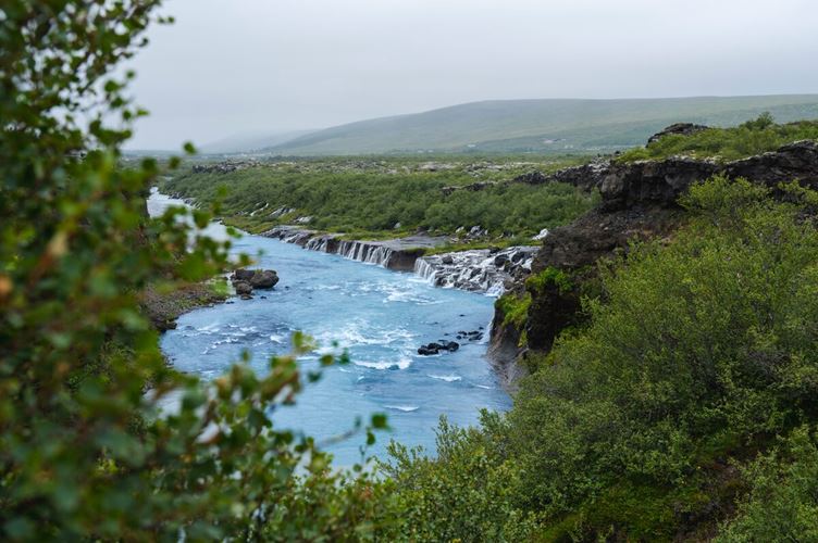 View of Hraunfossar waterfall through rich green trees in summer
