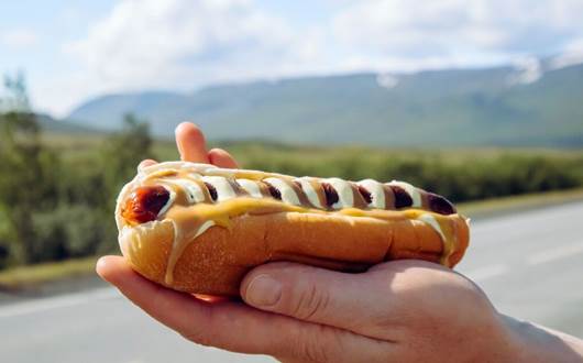 Icelandic food Icelandic food