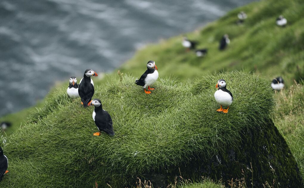 Questions About Bookings and Payments