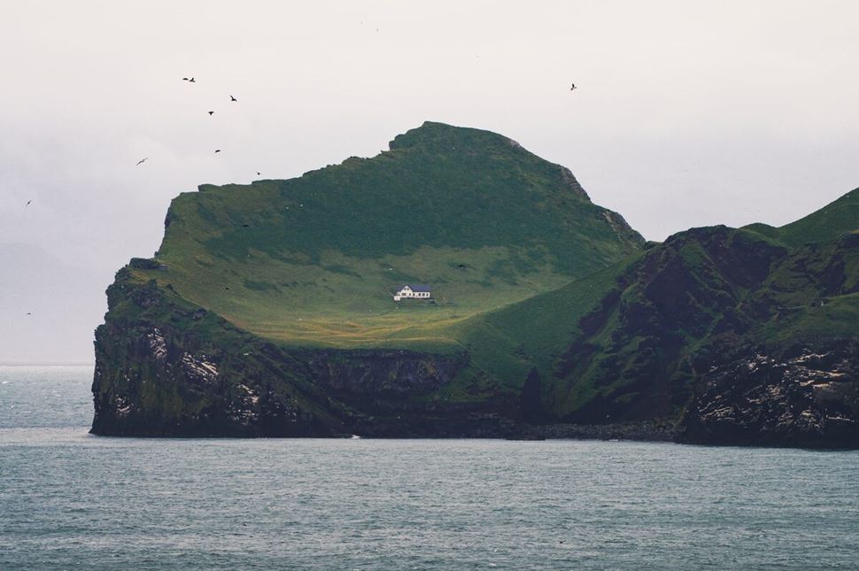 Lonely house in Westman islands on a seperate small islands with seagulls