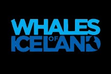WHALES OF ICELAND Whales of Iceland logo