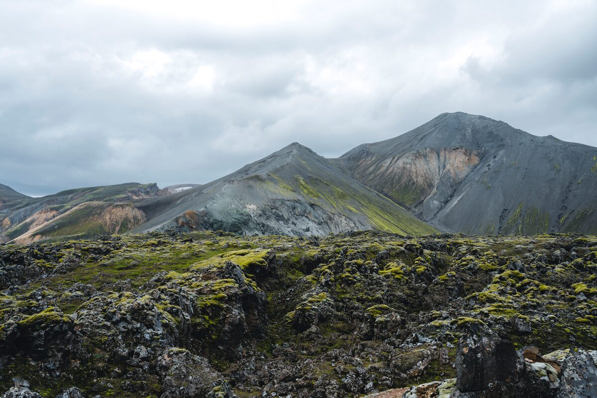 Lava field covered in Icelandic moss surrounded by mountains in Iceland 