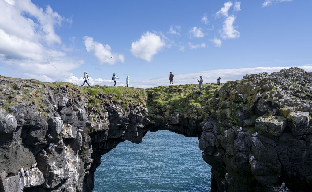 Ultimate Iceland Highlight Hitter: 8-Day Ring Road Tour