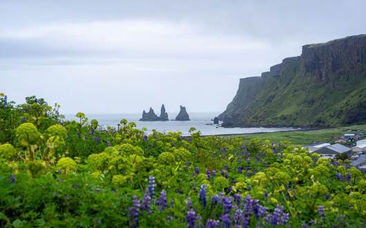Iceland in May: What to Expect, Where to Go, and How to Plan Your Trip  Iceland in May: What to Expect, Where to Go, and How to Plan Your Trip