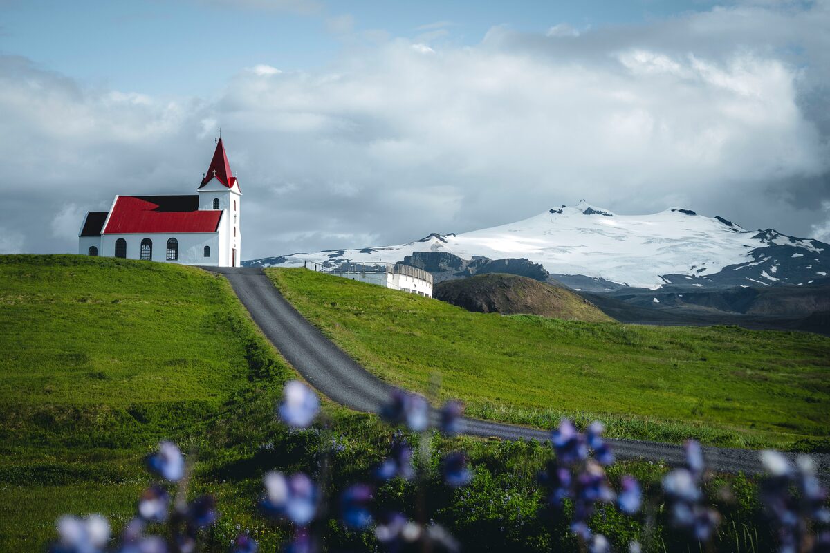 View of red roofed church in front of Snaefellsjokull glacier during lupin season.